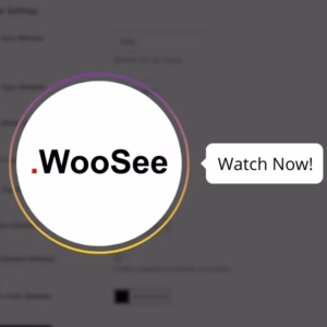 WooSee - Stories for WooCommerce Lifetime